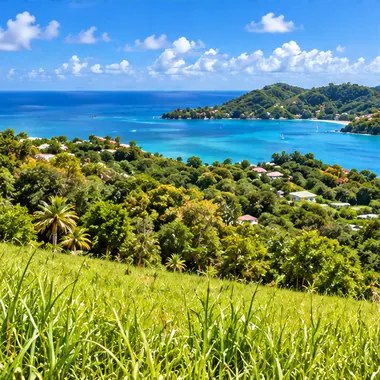 Illustrative tropical land